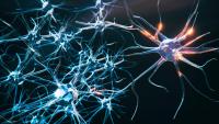 Neuron cells system disease - 3d rendered image of Neuron cell network